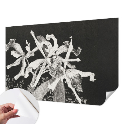 Vintage tapete Orchideenillustration