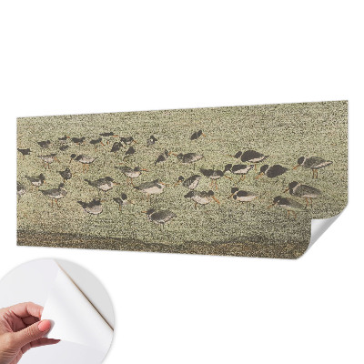 Fototapete nach Maß Vogelfrieden