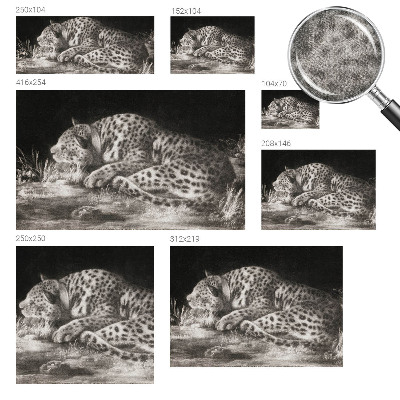 Motivtapete nach Maß Leopard ruht