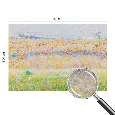 3D-Fototapete fürs Wohnzimmer Sommerfeld