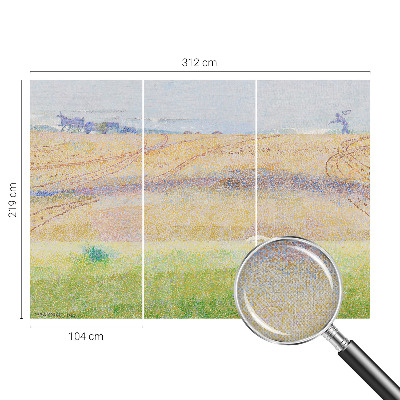 3D-Fototapete fürs Wohnzimmer Sommerfeld