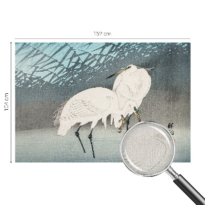 Fototapete nach Maß Zarte Vögel