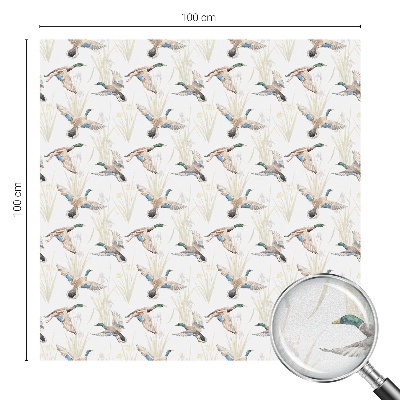 Folie für Fenster blickdicht Vögel Natur