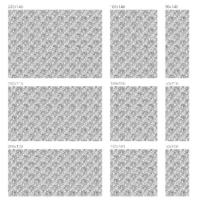 Folie für Fenster blickdicht Klassische Porträts