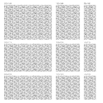 Fensterfolie Sichtschutz Vögel und Blumen