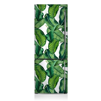 Kühlschrank magnet folie Botanische blätter