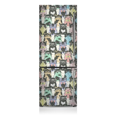 Kühlschrank magnet folie Katzen