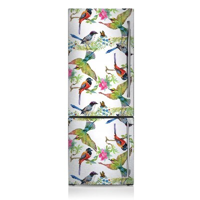 Kühlschrank magnet folie Bunte vögel
