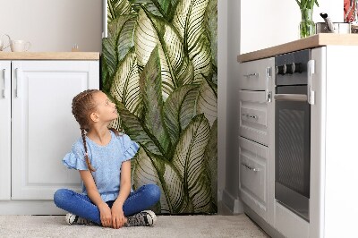 Kühlschrank aufkleber Monstera