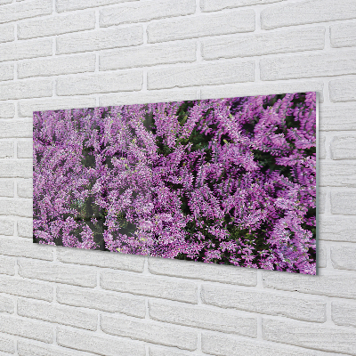 Acrylglasbilder Lilane blumen