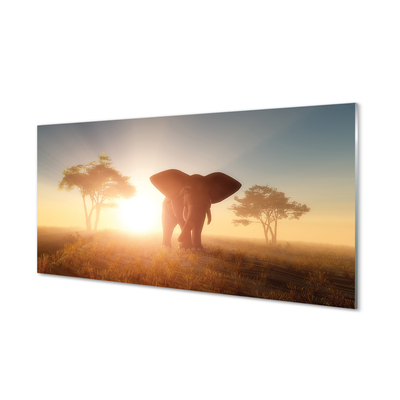 Acrylglasbilder Ist die welle elefant