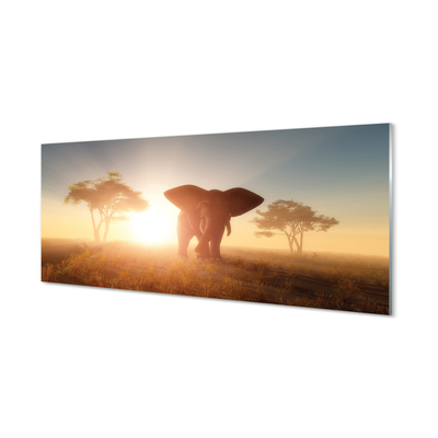 Acrylglasbilder Ist die welle elefant