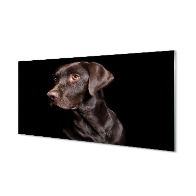 Acrylglasbilder Brauner hund