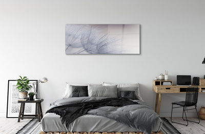 Acrylglasbilder Tautropfen löwenzahn