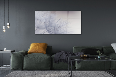 Acrylglasbilder Tautropfen löwenzahn