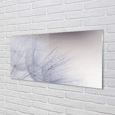 Acrylglasbilder Tautropfen löwenzahn