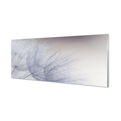 Acrylglasbilder Tautropfen löwenzahn