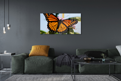 Acrylglasbilder Schmetterling farbig