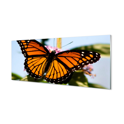 Acrylglasbilder Schmetterling farbig