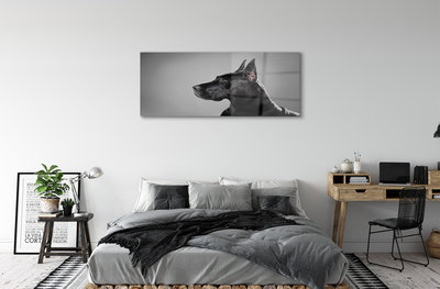 Acrylglasbilder Schwarzer hund