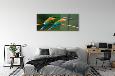 Acrylglasbilder Papagei auf einem zweig gefärbt