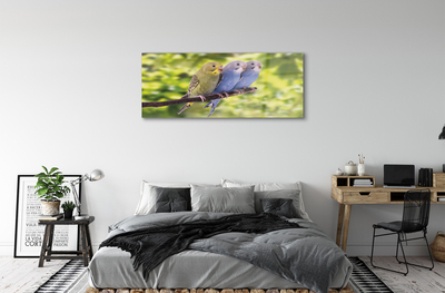 Acrylglasbilder Papagei auf einem zweig gefärbt