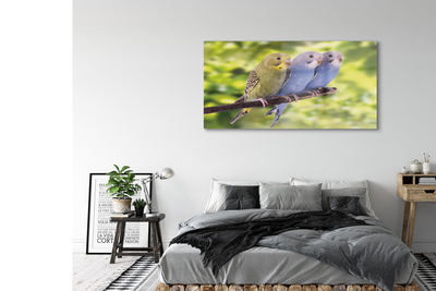 Acrylglasbilder Papagei auf einem zweig gefärbt