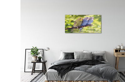 Acrylglasbilder Papagei auf einem zweig gefärbt
