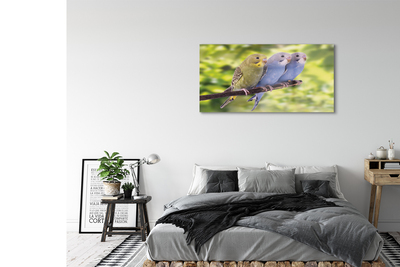Acrylglasbilder Papagei auf einem zweig gefärbt