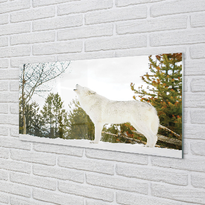 Acrylglasbilder Loup winterwald