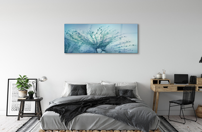 Acrylglasbilder Löwenzahn-makro tropfen