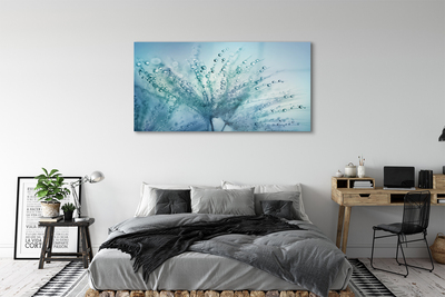 Acrylglasbilder Löwenzahn-makro tropfen