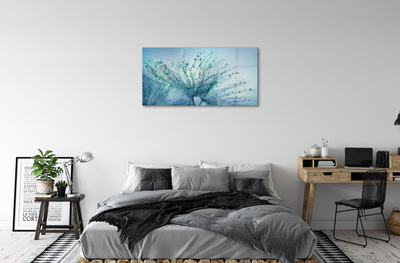 Acrylglasbilder Löwenzahn-makro tropfen