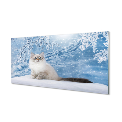Acrylglasbilder Katze winter