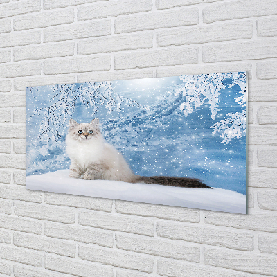Acrylglasbilder Katze winter