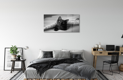 Acrylglasbilder Katze unter abdeckung