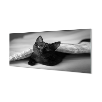 Acrylglasbilder Katze unter abdeckung
