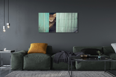 Acrylglasbilder Katze zaglądający