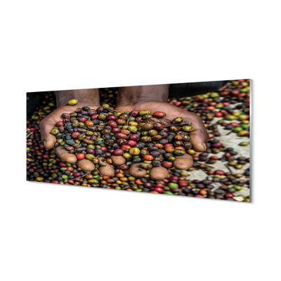 Acrylglasbilder Gewürze