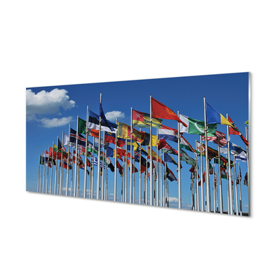 Acrylglasbilder Verschiedene flags