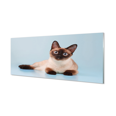 Acrylglasbilder Katze liegend