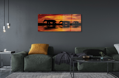 Acrylglasbilder West lake elefanten