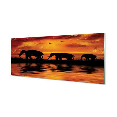 Acrylglasbilder West lake elefanten