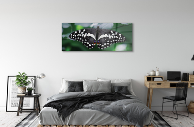 Acrylglasbilder Schmetterling bunte blätter