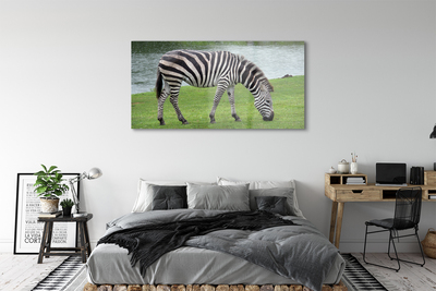 Acrylglasbilder Zebra