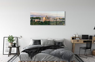 Acrylglasbilder Spanien castle mountain forest