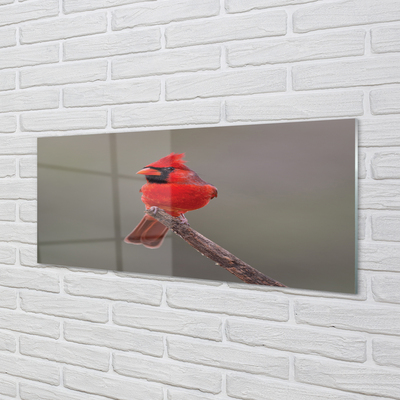 Acrylglasbilder Red papagei auf einem zweig
