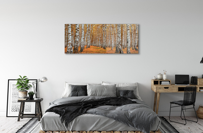 Acrylglasbilder Fall-bäume