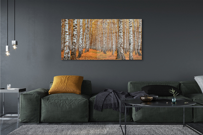 Acrylglasbilder Fall-bäume