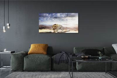 Acrylglasbilder Panther wolken